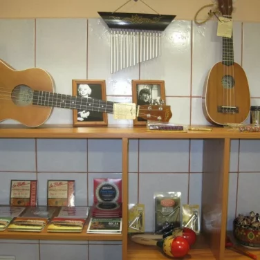 Магазин музыкальных инструментов Ukulele-shop фотография 2