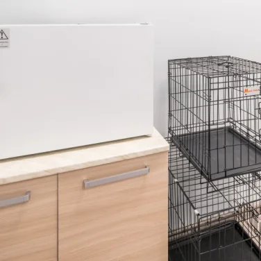 Ветеринарная клиника Лапка фотография 2