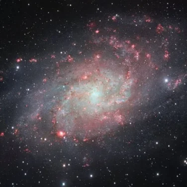 Потребительское общество Хомпланет 