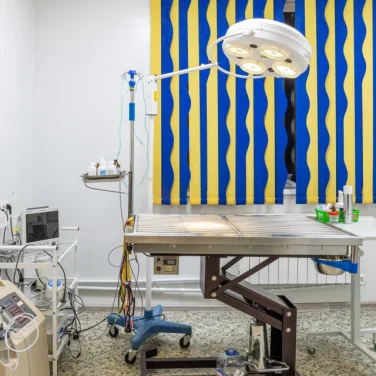 Ветеринарная клиника В мире животных фотография 2